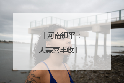 河南镇平：大蒜喜丰收