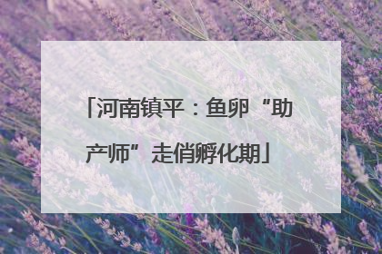 河南镇平：鱼卵“助产师”走俏孵化期