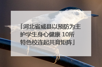 河北省威县以预防为主护学生身心健康 10所特色校连起共育矩阵