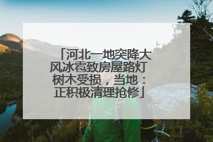 河北一地突降大风冰雹致房屋路灯树木受损，当地：正积极清理抢修