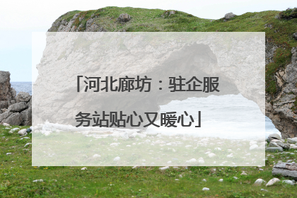 河北廊坊：驻企服务站贴心又暖心