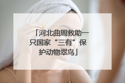 河北曲周救助一只国家“三有”保护动物翠鸟