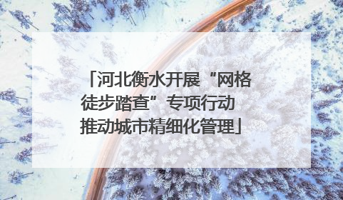 河北衡水开展“网格徒步踏查”专项行动 推动城市精细化管理