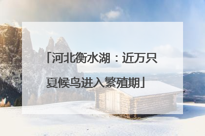 河北衡水湖：近万只夏候鸟进入繁殖期