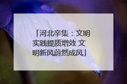 河北辛集：文明实践提质增效 文明新风蔚然成风