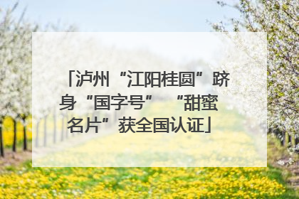 泸州“江阳桂圆”跻身“国字号” “甜蜜名片”获全国认证