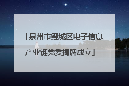 泉州市鲤城区电子信息产业链党委揭牌成立