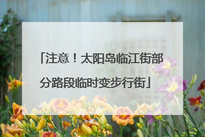 注意！太阳岛临江街部分路段临时变步行街