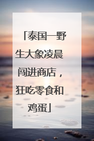 泰国一野生大象凌晨闯进商店，狂吃零食和鸡蛋