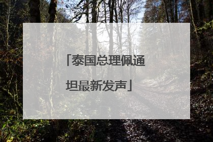 泰国总理佩通坦最新发声