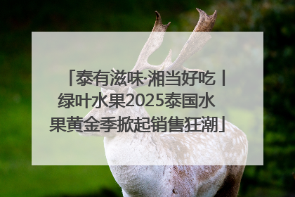 泰有滋味·湘当好吃丨绿叶水果2025泰国水果黄金季掀起销售狂潮