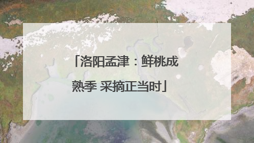 洛阳孟津：鲜桃成熟季 采摘正当时