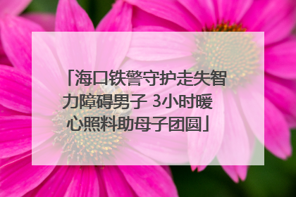 海口铁警守护走失智力障碍男子 3小时暖心照料助母子团圆