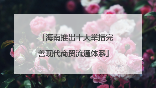 海南推出十大举措完善现代商贸流通体系