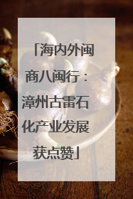 海内外闽商八闽行：漳州古雷石化产业发展获点赞