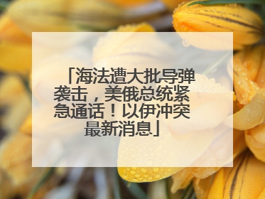 海法遭大批导弹袭击，美俄总统紧急通话！以伊冲突最新消息