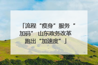 流程“瘦身”服务“加码” 山东政务改革跑出“加速度”