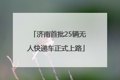 济南首批25辆无人快递车正式上路