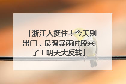 浙江人挺住！今天别出门，最强暴雨时段来了！明天大反转