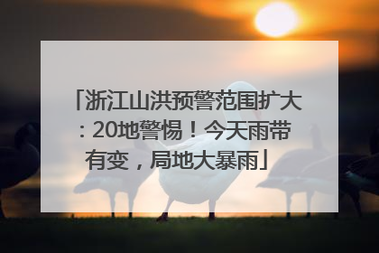 浙江山洪预警范围扩大：20地警惕！今天雨带有变，局地大暴雨