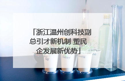 浙江温州创科技副总引才新机制 塑民企发展新优势