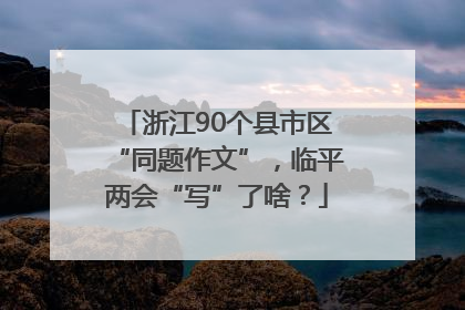 浙江90个县市区“同题作文”，临平两会“写”了啥？