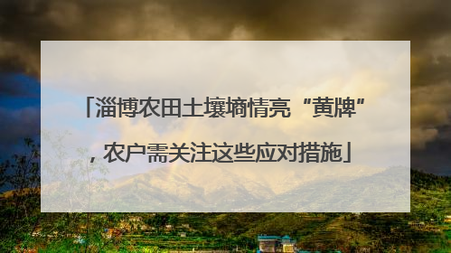 淄博农田土壤墒情亮“黄牌”，农户需关注这些应对措施