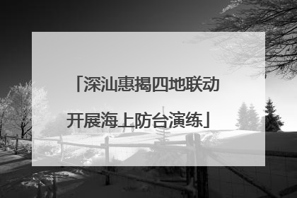 深汕惠揭四地联动开展海上防台演练