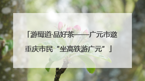游蜀道·品好茶——广元市邀重庆市民“坐高铁游广元”