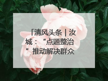 清风头条｜汝城：“点题整治”推动解决群众急难愁盼