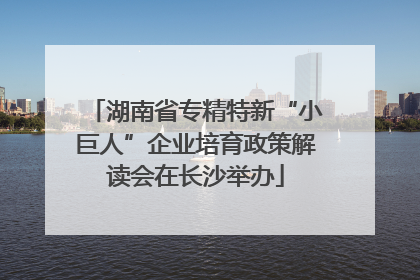 湖南省专精特新“小巨人”企业培育政策解读会在长沙举办