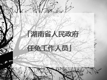 湖南省人民政府任免工作人员