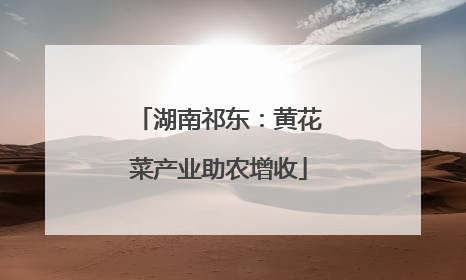 湖南祁东：黄花菜产业助农增收