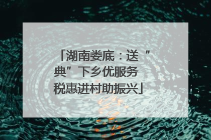 湖南娄底：送“典”下乡优服务 税惠进村助振兴