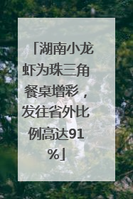 湖南小龙虾为珠三角餐桌增彩，发往省外比例高达91%