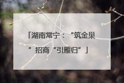 湖南常宁：“筑金巢”招商“引雁归”