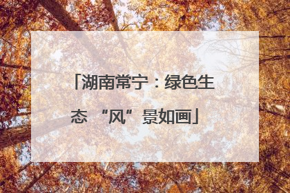 湖南常宁：绿色生态 “风”景如画