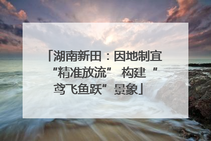 湖南新田：因地制宜“精准放流” 构建“鸢飞鱼跃”景象