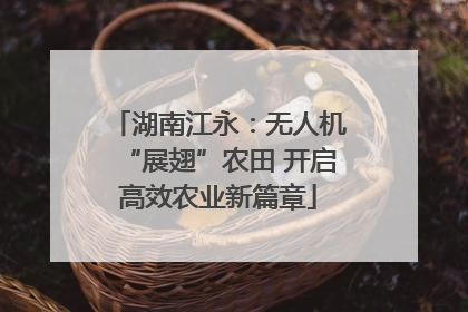 湖南江永：无人机“展翅”农田 开启高效农业新篇章
