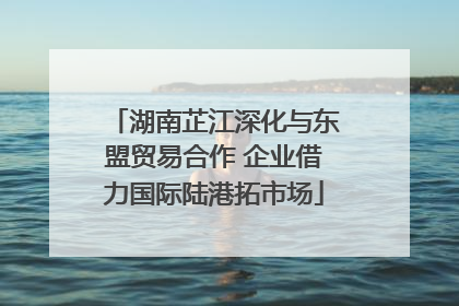 湖南芷江深化与东盟贸易合作 企业借力国际陆港拓市场