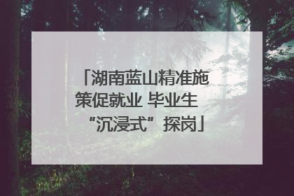 湖南蓝山精准施策促就业 毕业生“沉浸式”探岗