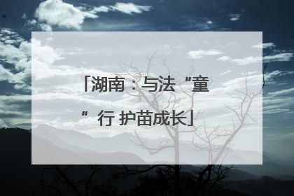 湖南：与法“童”行 护苗成长