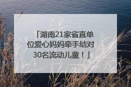 湖南21家省直单位爱心妈妈牵手结对30名流动儿童！