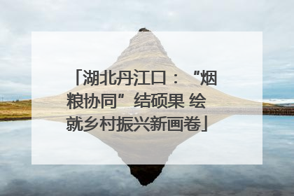 湖北丹江口：“烟粮协同”结硕果 绘就乡村振兴新画卷
