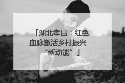 湖北孝昌：红色血脉激活乡村振兴“新动能”