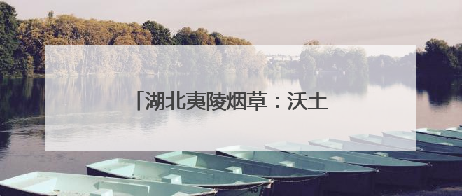 湖北夷陵烟草：沃土生芳华 服务绽新篇
