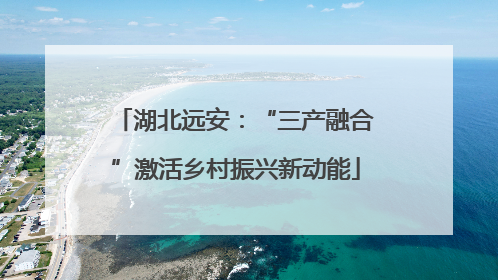 湖北远安：“三产融合”激活乡村振兴新动能