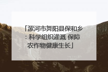 漯河市舞阳县保和乡：科学组织灌溉 保障农作物健康生长