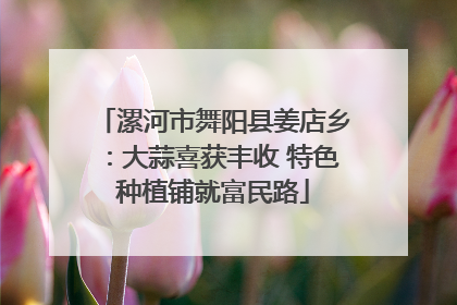 漯河市舞阳县姜店乡：大蒜喜获丰收 特色种植铺就富民路