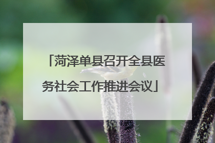 菏泽单县召开全县医务社会工作推进会议